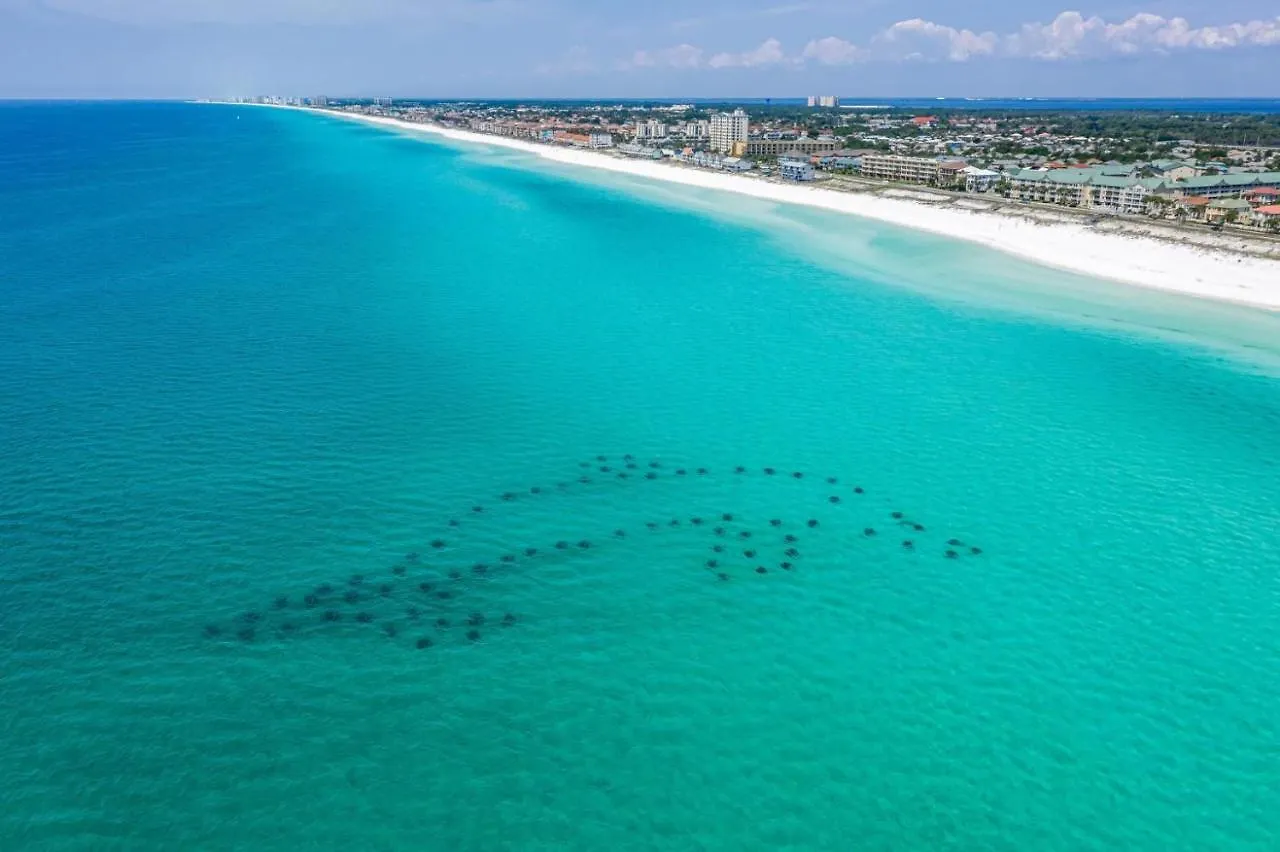 Sandprints A3 Destin